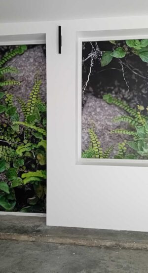 vitrophanie nature extérieur